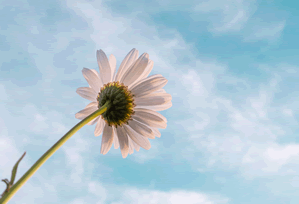 韩漫屋一句到位：盯截图是不是缺前后然后导语拆成两句